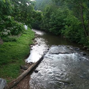 Meet your Posher, Ricky